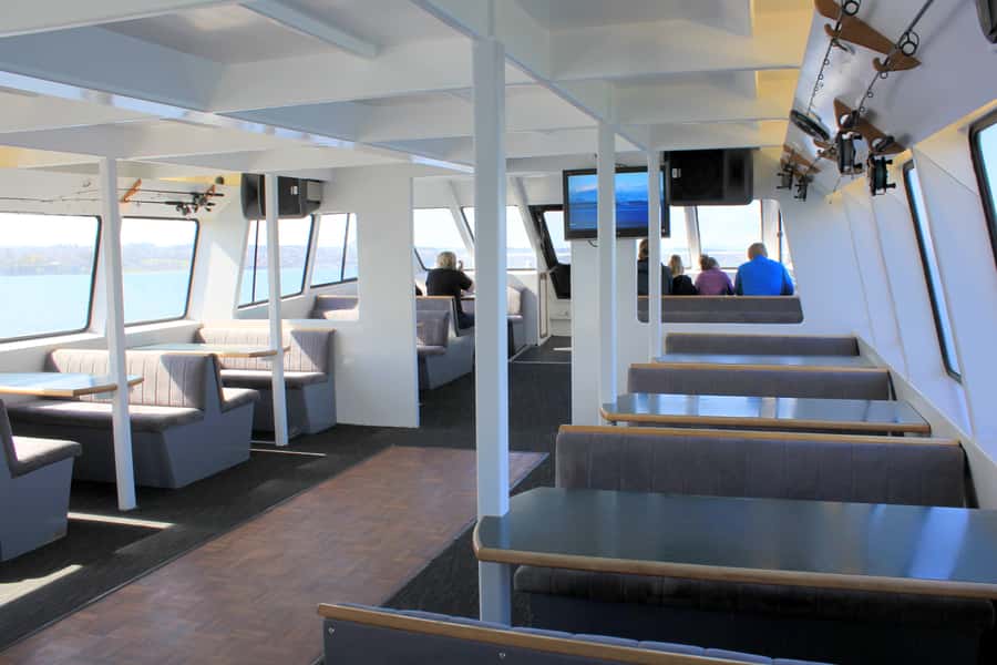 Lake Taupo: Maori Rock Carvings 8.30 AM 1.5-Hour Cruise - The first 30 minutes: open water and mountain views