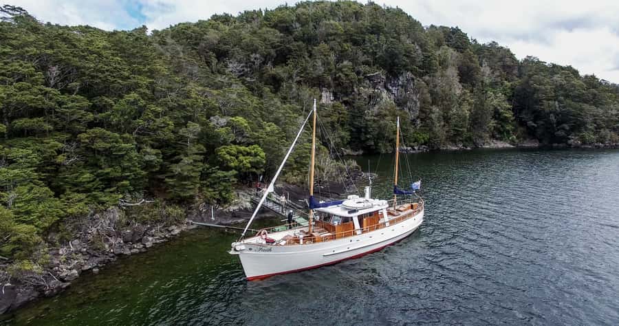 Lake Te Anau: 3-Hour Boat Cruise with Guided Walk - Practical tips for a smoother trip
