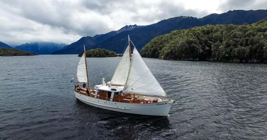 Lake Te Anau: 3-Hour Boat Cruise with Guided Walk - A 40-minute walk through Fiordland forest