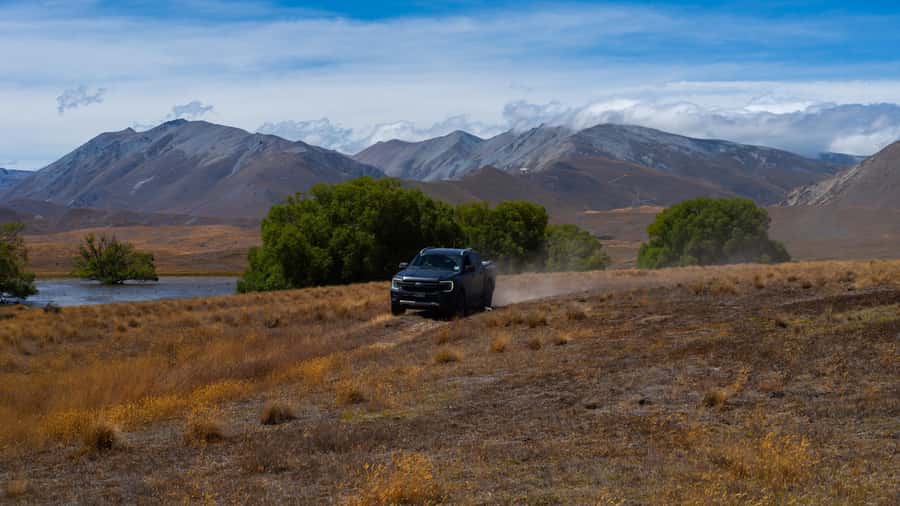 Lake Tekapo Guided 4WD Tours (Small Group, Carbon Positive) - Meeting the working Merino station
