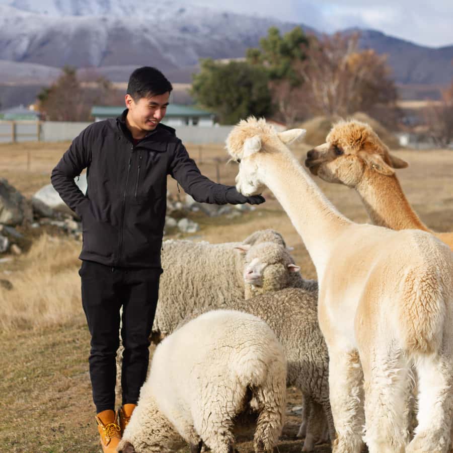 Lake Tekapo: Guided Petting Zoo Visit - How the guide affects the experience