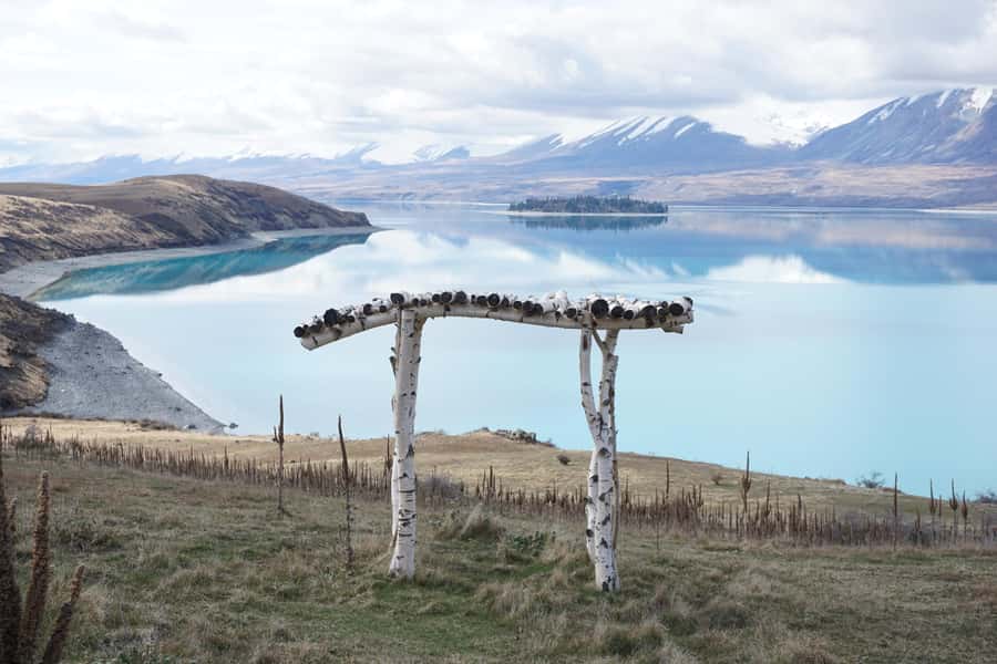 Lake Tekapo High Country Farm Tour (Carbon Positive) - Key points to know before you book