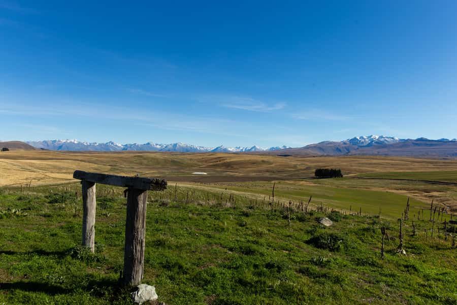 Lake Tekapo High Country Farm Tour (Carbon Positive) - Honey, spring water, and the small local touches