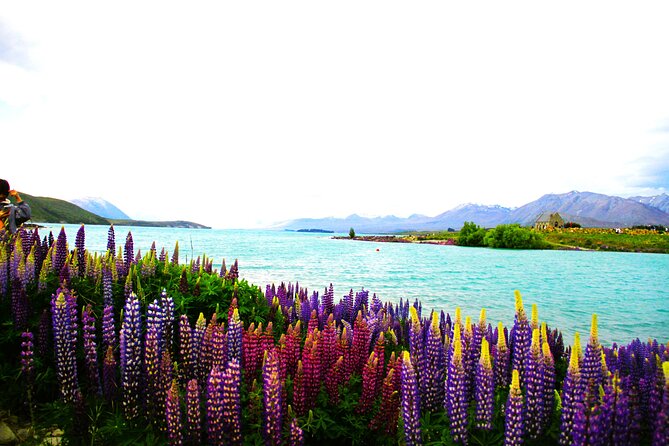 Lake Tekapo Stargazing & Mount Cook 2-Day Tour from Christchurch - The return to Christchurch and the value of the package