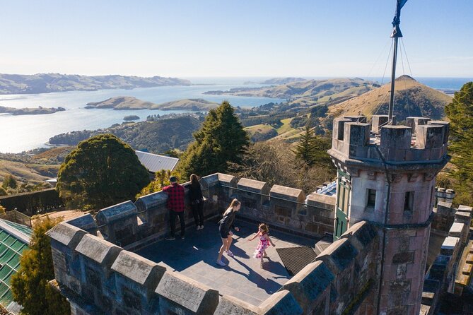 Larnach Castle & Otago Wildlife Cruise from Dunedin - Key points before you book