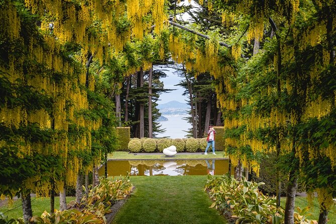 Larnach Castle & Otago Wildlife Cruise from Dunedin - Taiaroa Head and the search for wildlife