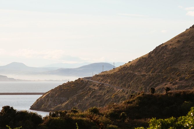 Larnach Castle & Otago Wildlife Cruise from Dunedin - Weather, cancellations, and practical planning