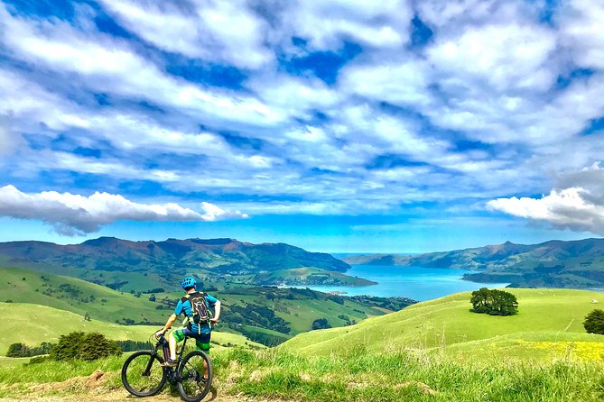 Lava Loop- Guided electric mountain bike tour in Akaroa - Key points before you book