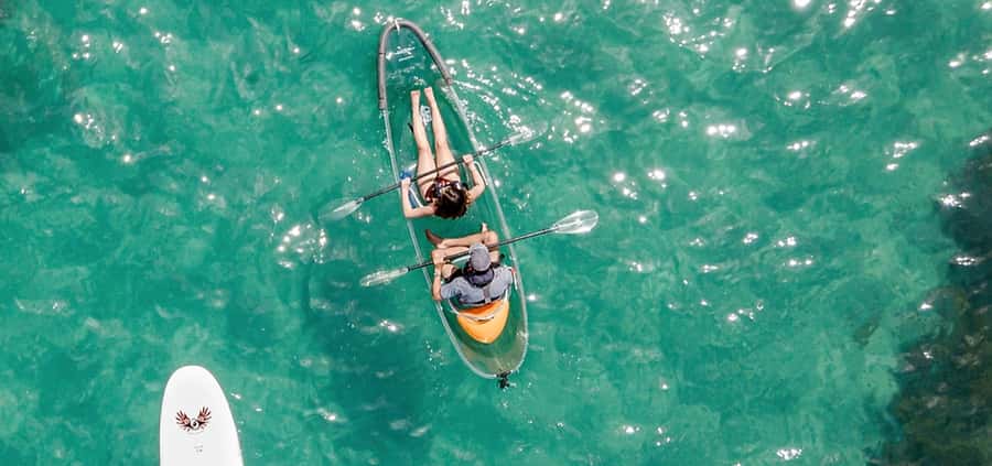 Leigh: Goat Island Clear Kayak Rental - Key points to know before you book