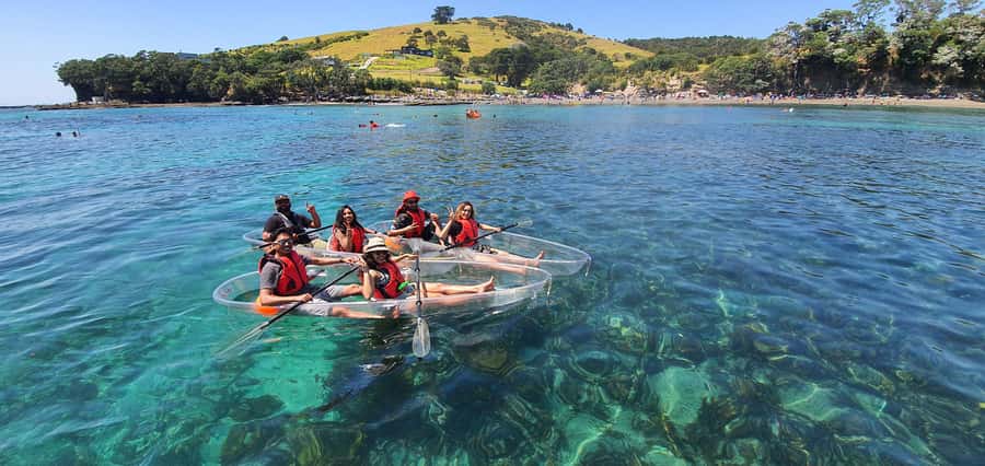 Leigh: Goat Island Clear Kayak Rental - Why Goat Island is worth seeing from a kayak