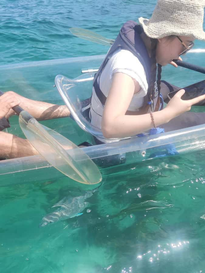 Leigh: Goat Island Clear Kayak Rental - The guide’s role and the small-group feel