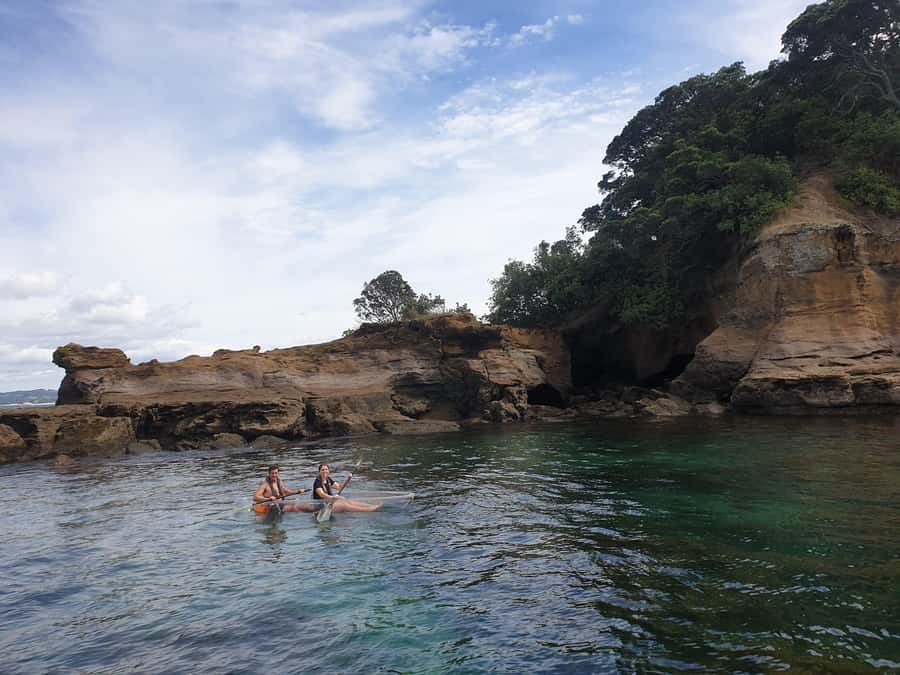 Leigh: Goat Island Clear Kayak Rental - Conditions, limits, and useful planning details