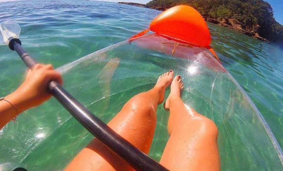Leigh: Goat Island Clear Kayak Rental - Meeting at Goat Island beach