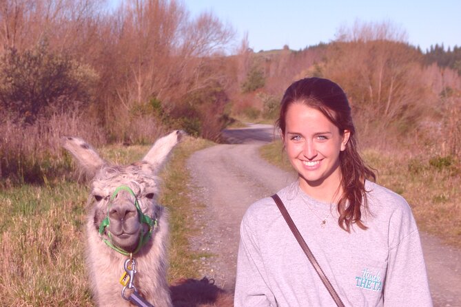 Llama Trek (Taster) - Kowhai River Valley and Native Woodland Tour - Why the llamas are the main event