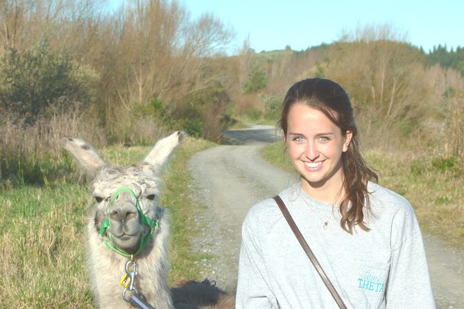 Llama Trek (Taster) - Kowhai River Valley and Native Woodland Tour - Is $83.16 a fair price?