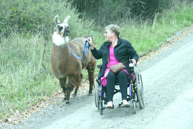 Llama Trek (Taster) - Kowhai River Valley and Native Woodland Tour - Practical details before you book