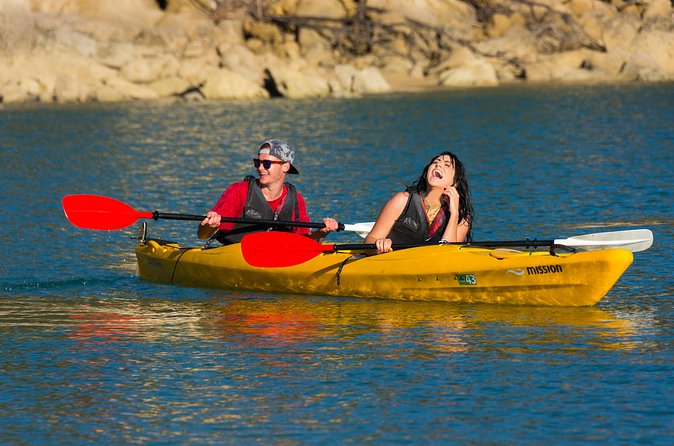 Lock, Stock & 2 Smoking Paddles - Adele Island and the fur seals
