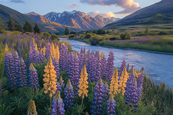 Lord of the Rings Scenic Half Day Tour from Queenstown - Glenorchy Wharf slows the pace