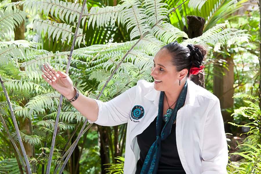Luxury Auckland Maori Tour - Parnell and Tamaki Drive