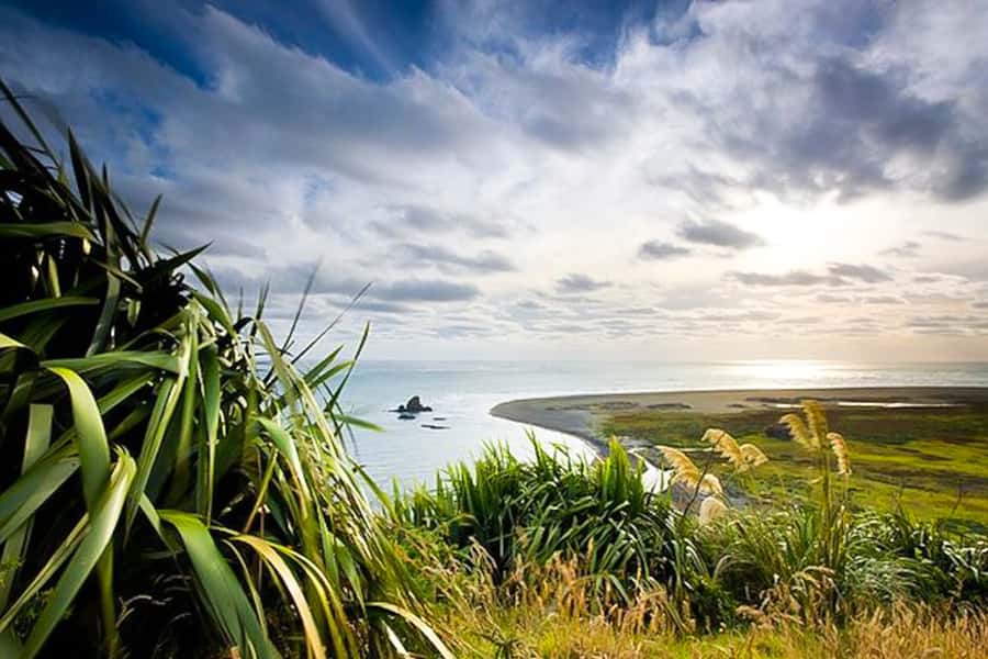 Luxury Auckland Maori Tour - Harbour Bridge views and Rangitoto Island