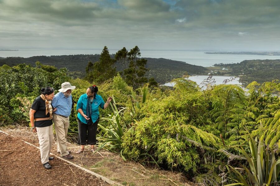 Luxury Auckland Maori Tour - Black-sand beaches, cliffs, and the Pacific coast