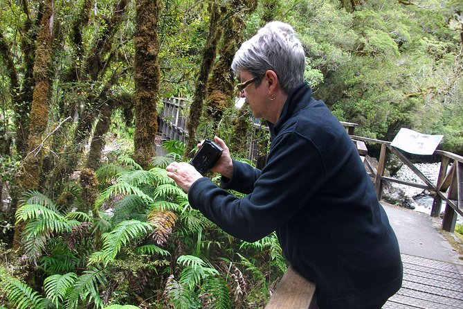 Luxury Milford Sound Coach and Scenic Cruise - The return trip from Milford Sound
