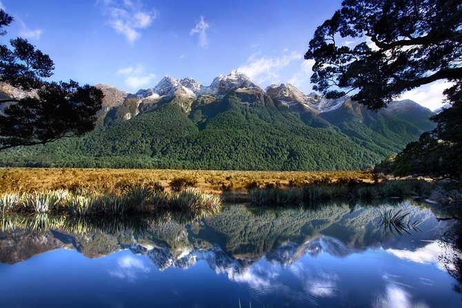 Luxury Milford Sound Coach and Scenic Cruise - A useful break at Lake Te Anau