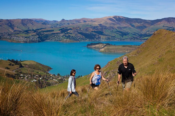 Luxury Private Guided Crater Rim Walk on Banks Peninsula - Key points to know before you book