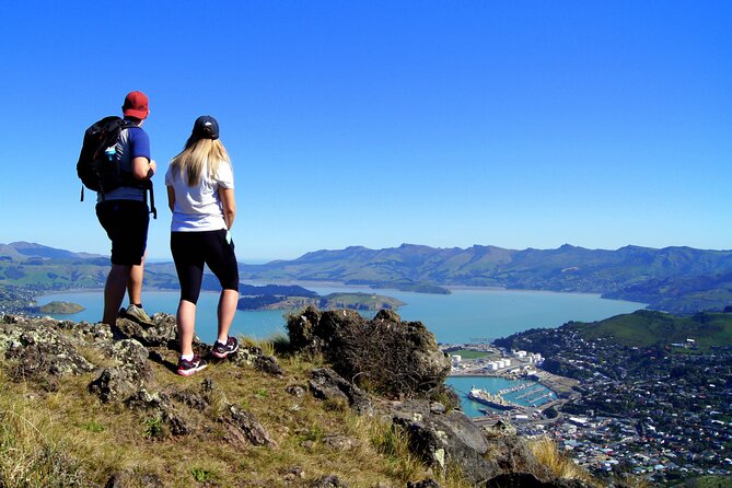 Luxury Private Guided Crater Rim Walk on Banks Peninsula - A guide-led walk changes the experience