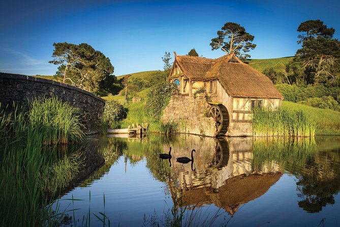 Luxury Private Transfers: Auckland Airport to City - Friendly drivers and clear communication