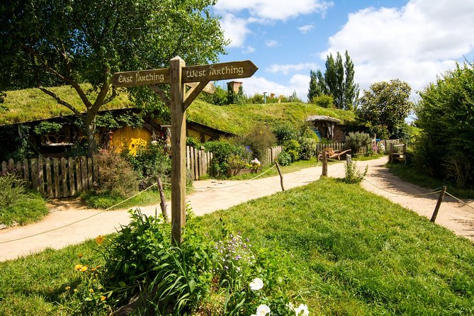 Luxury Small group tour from Auckland to Hobbiton Movie Set - Leaving Auckland before the city wakes