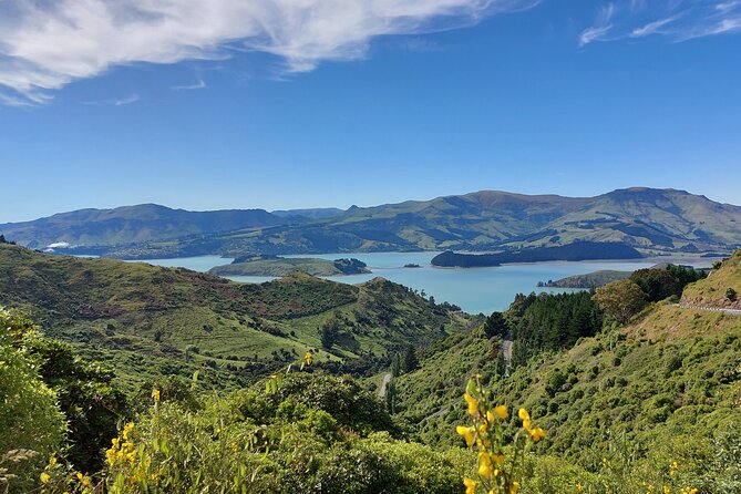 Lyttelton Shore Excursion: Christchurch & Willowbank Tour - Leaving Lyttelton for Christchurch