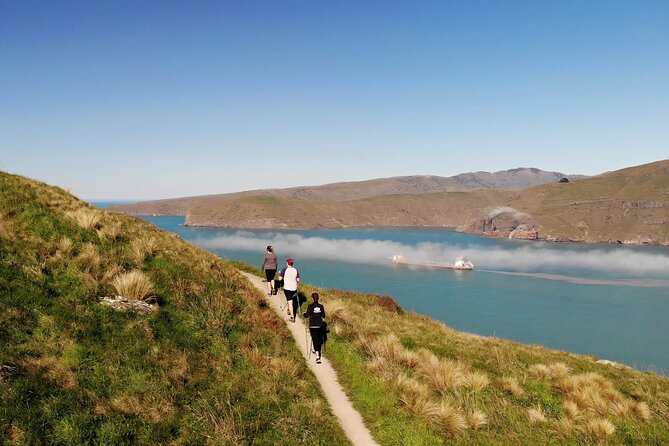 Lyttelton Shore Excursion - Guided Walking Tour and Picnic - Key points to know before booking