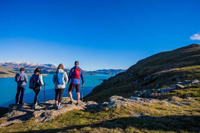 Lyttelton Shore Excursion - Guided Walking Tour and Picnic - Sumner Beach and Cave Rock: a gentle opening