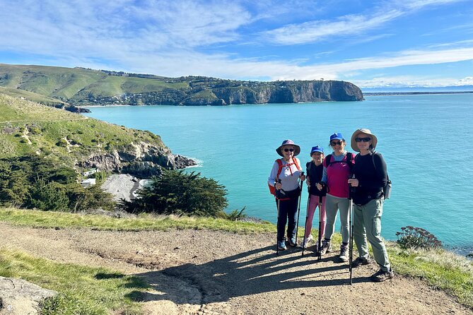 Lyttelton Shore Excursion - Guided Walking Tour and Picnic - The Godley Head Loop is the heart of the day