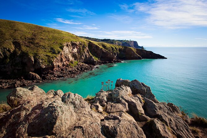 Lyttelton Shore Excursion - Guided Walking Tour and Picnic - How the $186.17 price earns its keep