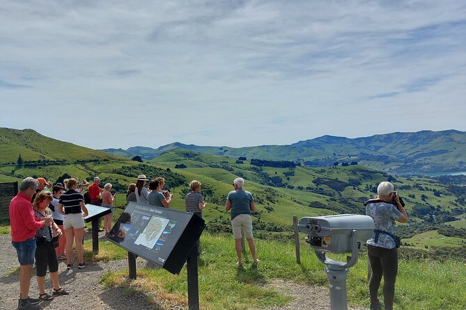 Lyttelton Shore Excursion: Twin Harbour Tour (Lyttelton & Akaroa) - Why this tour makes sense from Lyttelton