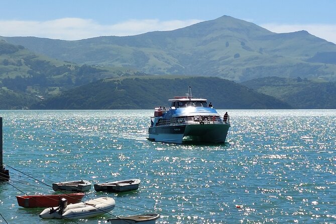 Lyttelton Shore Excursion: Twin Harbour Tour (Lyttelton & Akaroa) - The pickup issue and how to avoid it