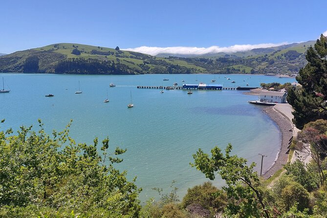 Lyttelton Shore Excursion: Twin Harbour Tour (Lyttelton & Akaroa) - Who will enjoy this eight-hour outing