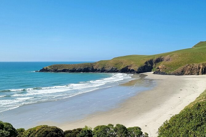 Mainland Peninsula Tour - Larnach Castle gardens and Otago Harbour views