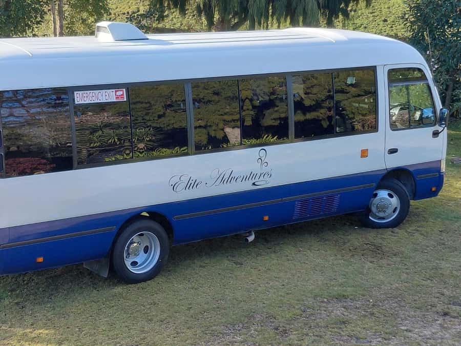 Maori Culture Small Group Afternoon Tour including Te Puia - The drive through Rotorua gives the afternoon its shape
