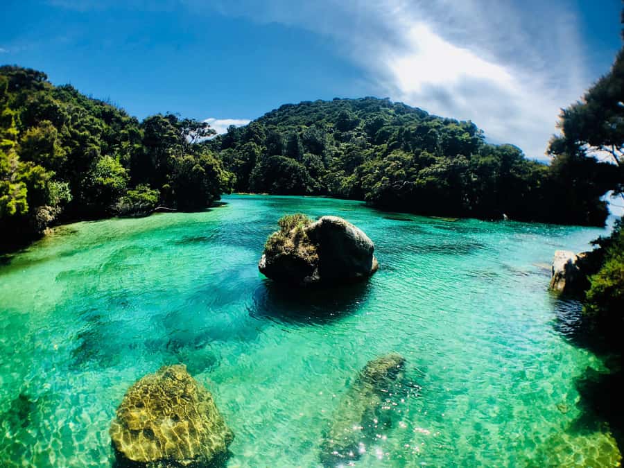 Mārahau: Abel Tasman Marine Reserve Kayak Tour - Key points before you book