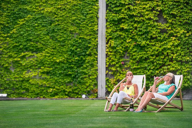 Marlborough Afternoon Wine Tour with Tastings - Who should book this afternoon tour?
