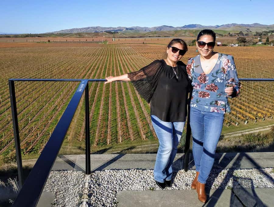 Marlborough: Blenheim Wine Tour; Afternoon of Wine only - The guide can shape the whole afternoon