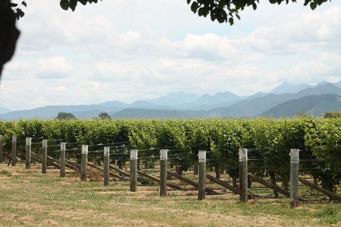 Marlborough Classic Wine Tasting Tour. - The Makana Confections bonus stop