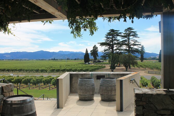 Marlborough Classic Wine Tasting Tour. - Pickup, timing, and cruise ship advice