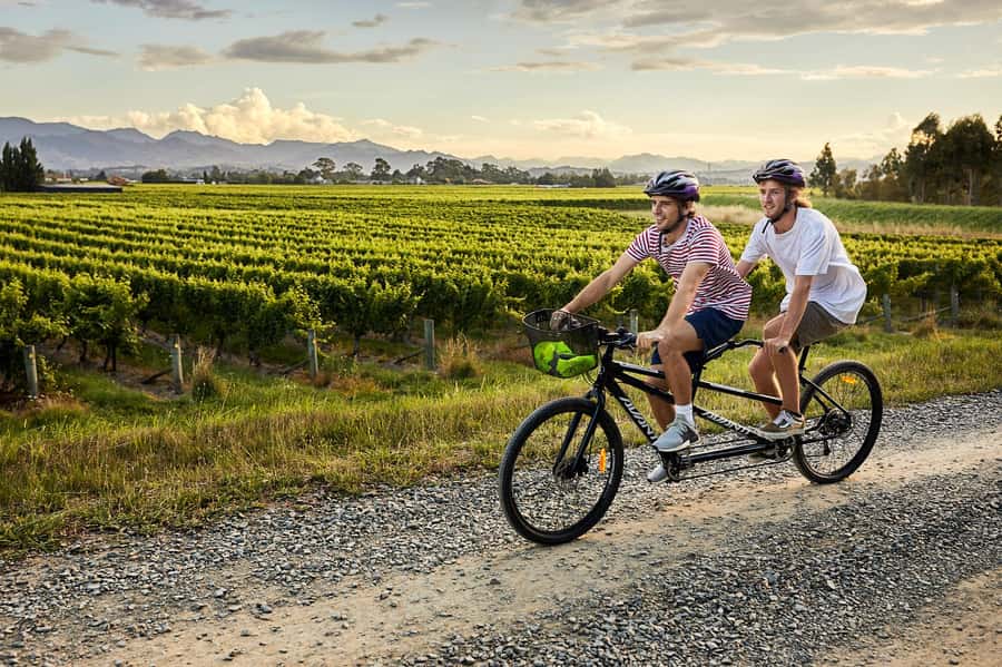 Marlborough: Full-Day Self-Guided Biking Wine Tour - Key things to know before you pedal away