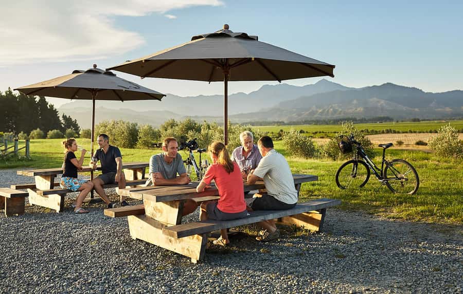Marlborough: Full-Day Self-Guided Biking Wine Tour - Why Marlborough works so well by bike