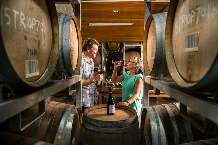 Marlborough: Full-Day Wine and Seafood Tour with Cruise - Seafood Odyssea through Queen Charlotte Sound