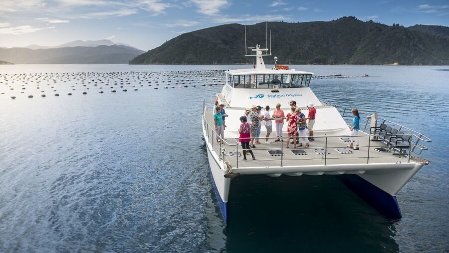 Marlborough: Full-Day Wine and Seafood Tour with Cruise - Mussels, salmon, and the real food highlight